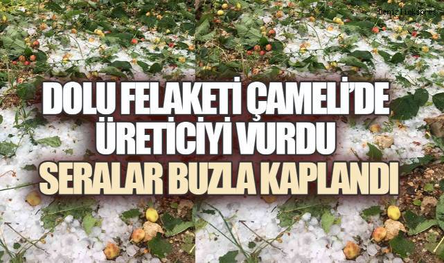 Çameli'de Gökyüzünden Yağan Buz Üreticinin Umudunu Kırdı