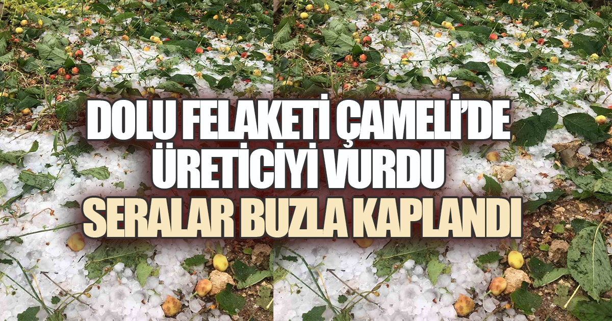 Çameli'de Gökyüzünden Yağan Buz Üreticinin Umudunu Kırdı
