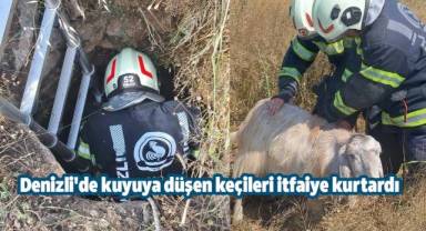 Denizli'de kuyuya düşen keçileri itfaiye kurtardı