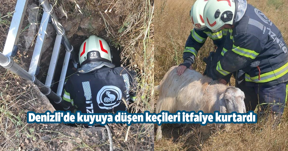 Denizli'de kuyuya düşen keçileri itfaiye kurtardı