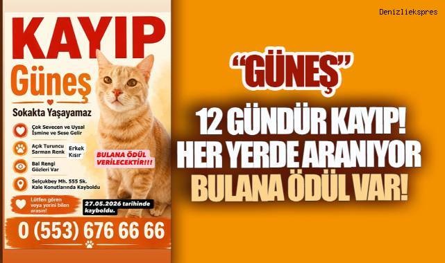 "GÜNEŞ" 12 GÜNDÜR KAYIP, HER YERDE ARANIYOR: BULANA ÖDÜL VAR
