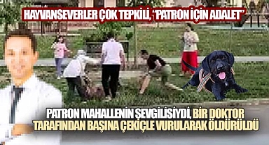 Parkta Köpeğe Müdahale Kamerada: Köpeği Çekiçle Öldüren Doktorun,