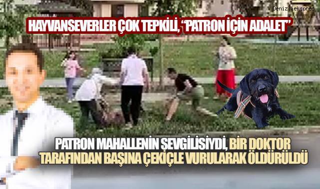 Parkta Köpeğe Müdahale Kamerada: Köpeği Çekiçle Öldüren Doktorun,