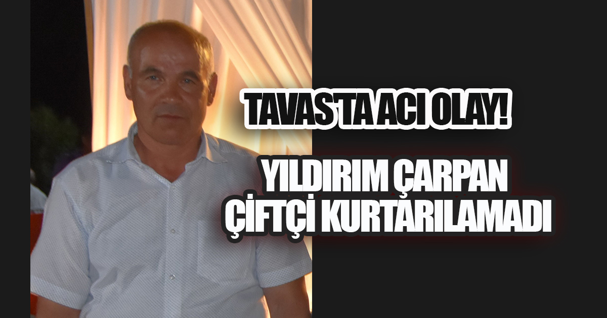 Tütün Tarlasında Yıldırım Faciası! Ağaç Altına Sığınan Çiftçi Yaşamını Yitirdi