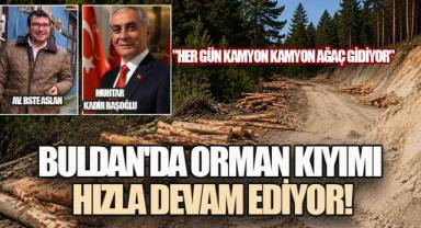 BULDAN'DA FELDSPAT MADENİ İÇİN AĞAÇLAR TEK TEK DEVRİLİYOR!