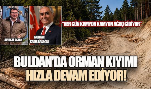 BULDAN'DA FELDSPAT MADENİ İÇİN AĞAÇLAR TEK TEK DEVRİLİYOR!
