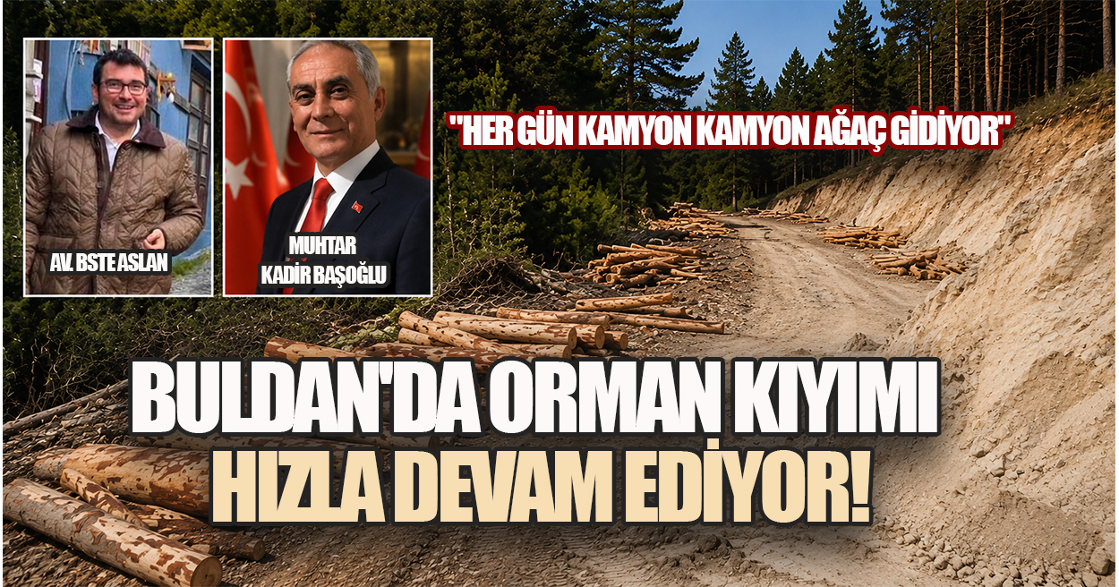 BULDAN'DA FELDSPAT MADENİ İÇİN AĞAÇLAR TEK TEK DEVRİLİYOR!