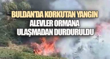 Buldan’da Korkutan Yangın: Alevler Ormana Ulaşmadan Durduruldu