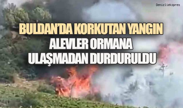 Buldan’da Korkutan Yangın: Alevler Ormana Ulaşmadan Durduruldu