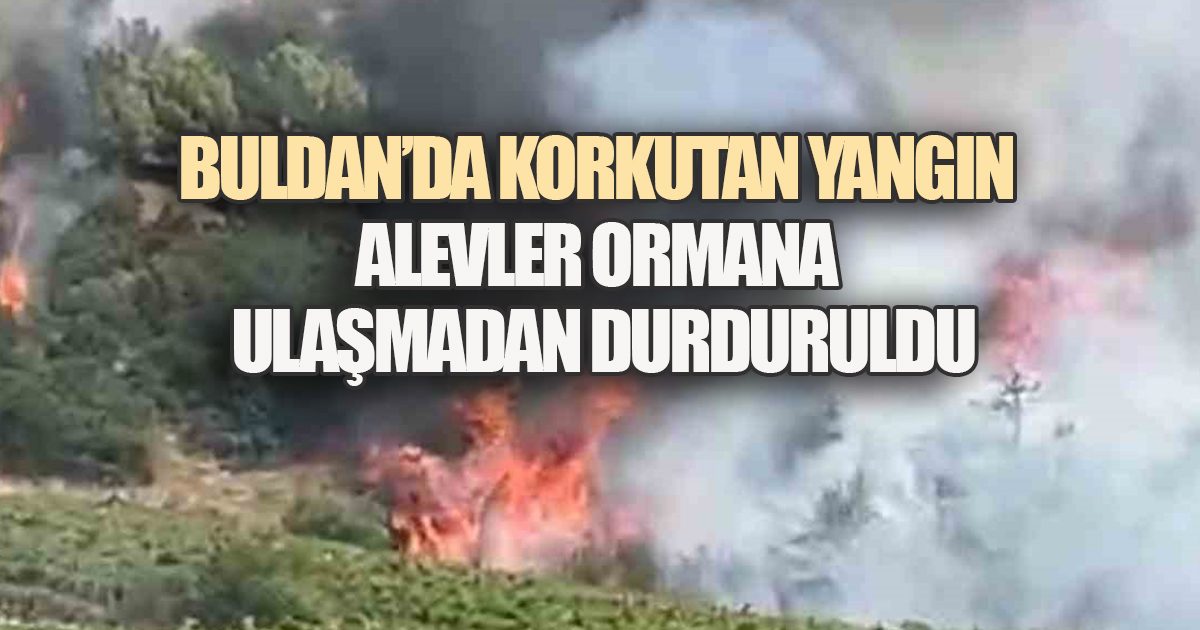 Buldan’da Korkutan Yangın: Alevler Ormana Ulaşmadan Durduruldu