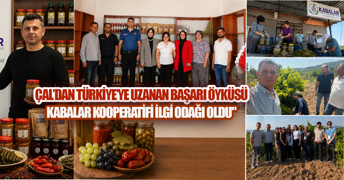 Çal'dan Türkiye'ye Uzanan Başarı Öyküsü! Kabalar Kooperatifi Üreticinin Emeğini Değere Dönüştürüyor