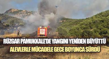 Denizli'de Orman Yangınıyla Mücadele Sürüyor: Rüzgar Tehlikeyi Artırdı
