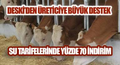 DESKİ'den Hayvancılık Abonelerine Çifte Kazanç: Daha Fazla Kademe, Daha Düşük Tarife