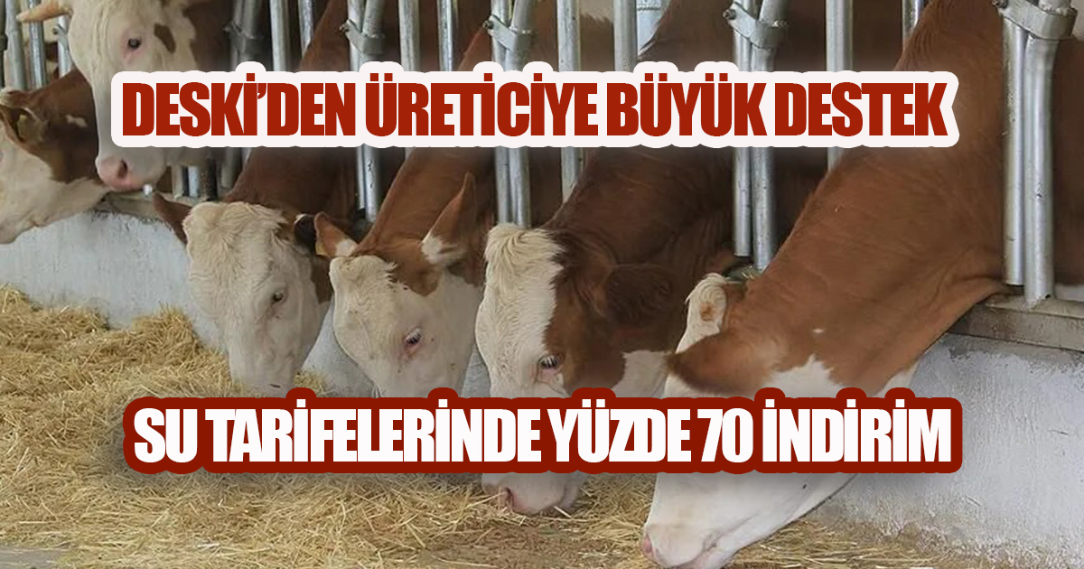 DESKİ'den Hayvancılık Abonelerine Çifte Kazanç: Daha Fazla Kademe, Daha Düşük Tarife