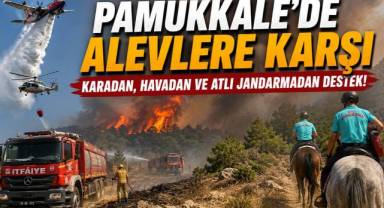 Pamukkale'de Orman Yangınına Atlı Jandarma Desteği: Araçların Giremediği Yerlere Hortum Taşıdılar