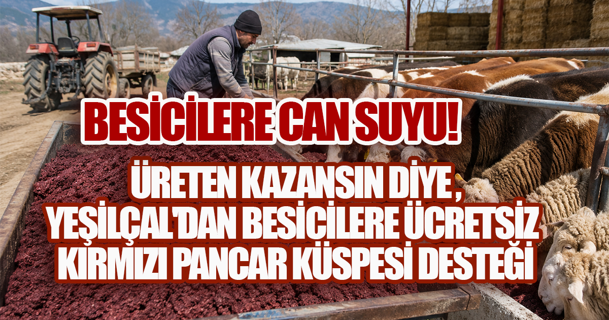 YeşilÇal'dan Üretime Destek, Besiciye Nefes! Ücretsiz Kırmızı Pancar Küspesi Desteği Başlıyor